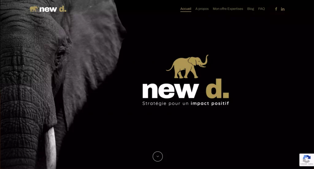 Site internet NEWD à Nancy – création sur-mesure par l’agence Bleupetrole. - Mandelieu - Cannes - Nice - SEO