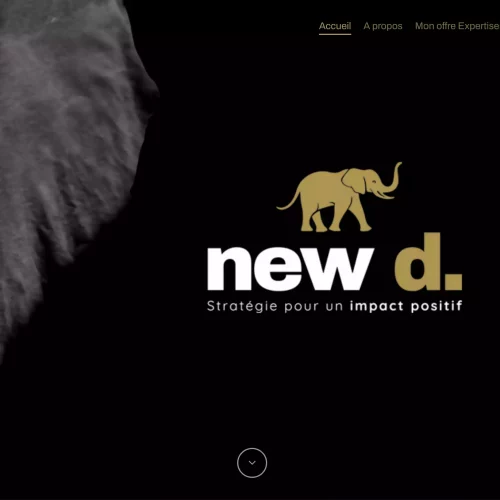 New D conseils I Consultant pour une entreprise meilleure